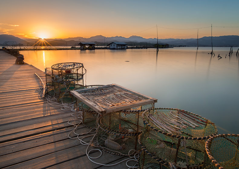 智能監控魚塘案例